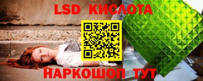 гидра Кингисепп