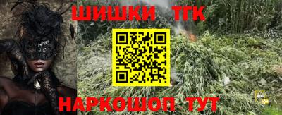 гидра Кингисепп