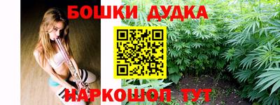 гидра Кингисепп