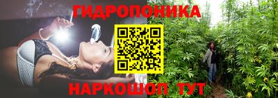 гидра Кингисепп