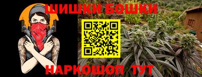 гидра Кингисепп