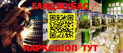 гидра Кингисепп