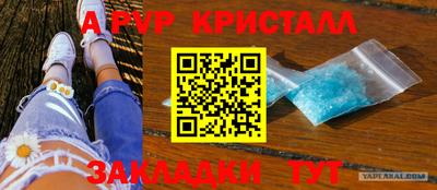 гидра Кингисепп