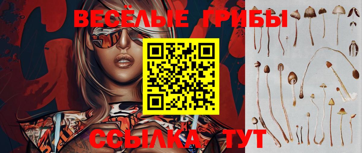 Псилоцибиновые грибы мицелий Кировск